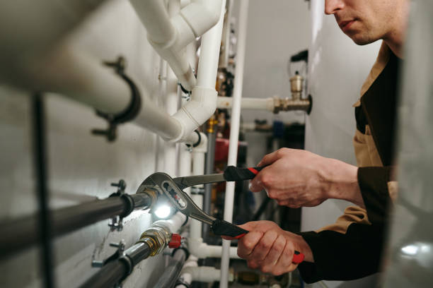 Best Shower Repair Services  in Cologne, MN