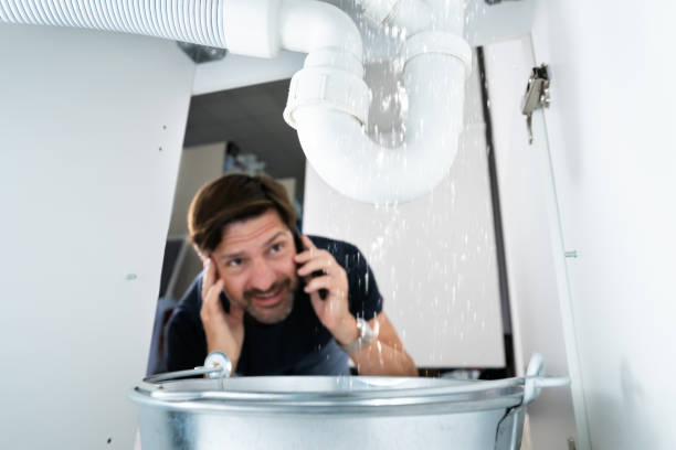 Best Water Leak Repair  in Cologne, MN
