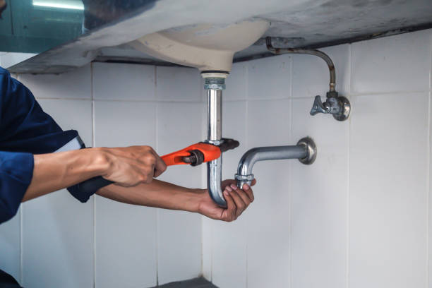 Best Best Plumbers Near Me  in Cologne, MN