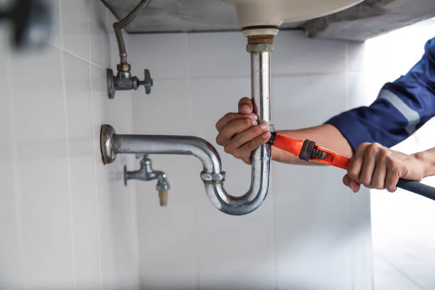 Best Local Plumber Services  in Cologne, MN