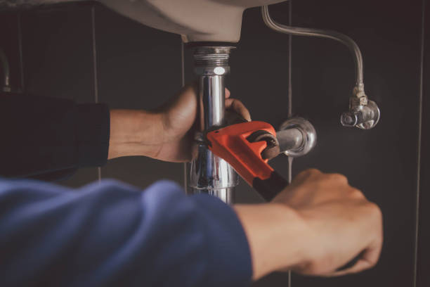 Best Septic Systems  in Cologne, MN
